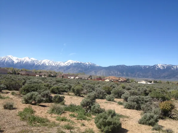 2754 Pamela Pl, Minden, NV 89423