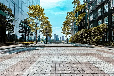 Rented by Vector New York, LLC