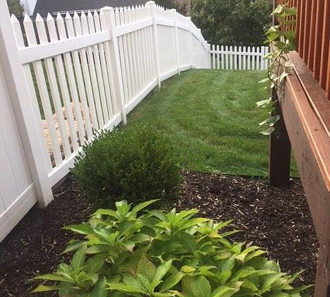 backyard garden