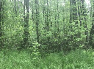 Truax Rd, Hillman, MI 49746