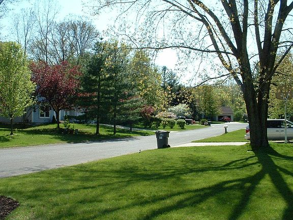 Quiet Tree-lined Culdesac