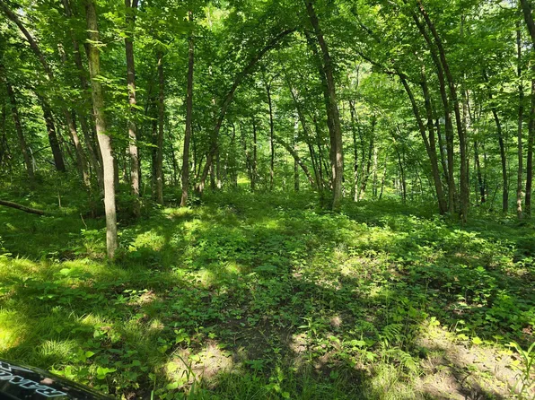305th Ave, Detroit Lakes, MN 56501