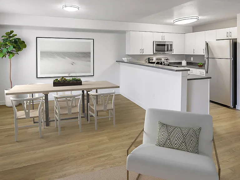 Living Room and Kitchen