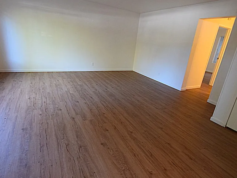 170 Miller Ave #7 — Photo 7