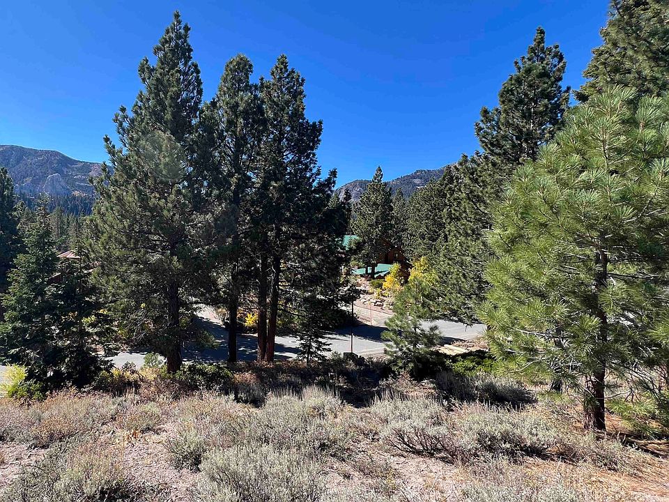 1st image of 572 Majestic Pines Dr
