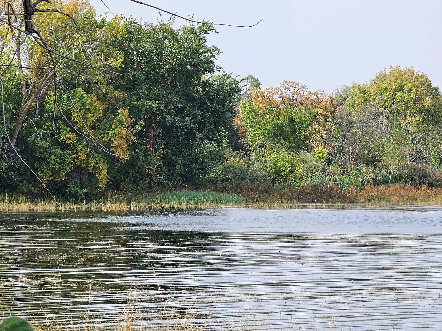 22270 Csah 9 S, Darwin, MN 55324 MLS 6454505 Zillow