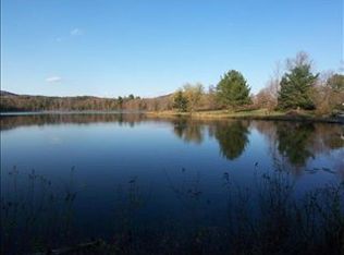 164 Lake Marie Rd, Liberty, NY 12754