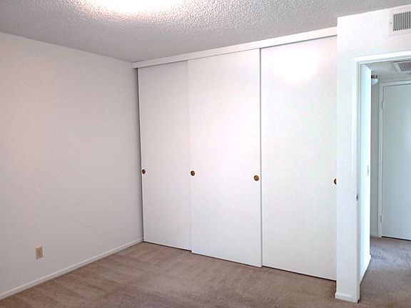 Second bedroom with very generous closet space