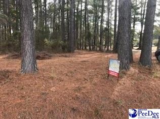 2 Stonewall Plantation Twin Church Rd, Timmonsville, SC 29161