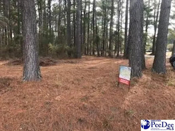 2 Stonewall Plantation Twin Church Rd, Timmonsville, SC 29161