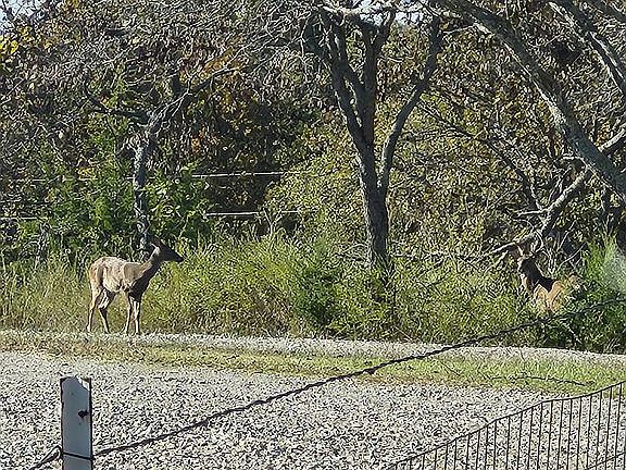 5th image of 124 County Road 82