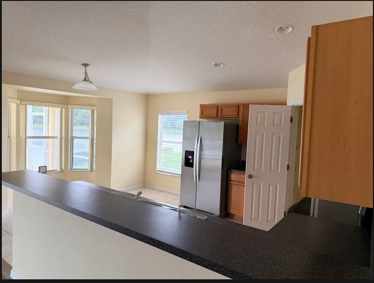 3137 Riachuelo Lane. Kissimmee, Fl 34744 — Photo 2