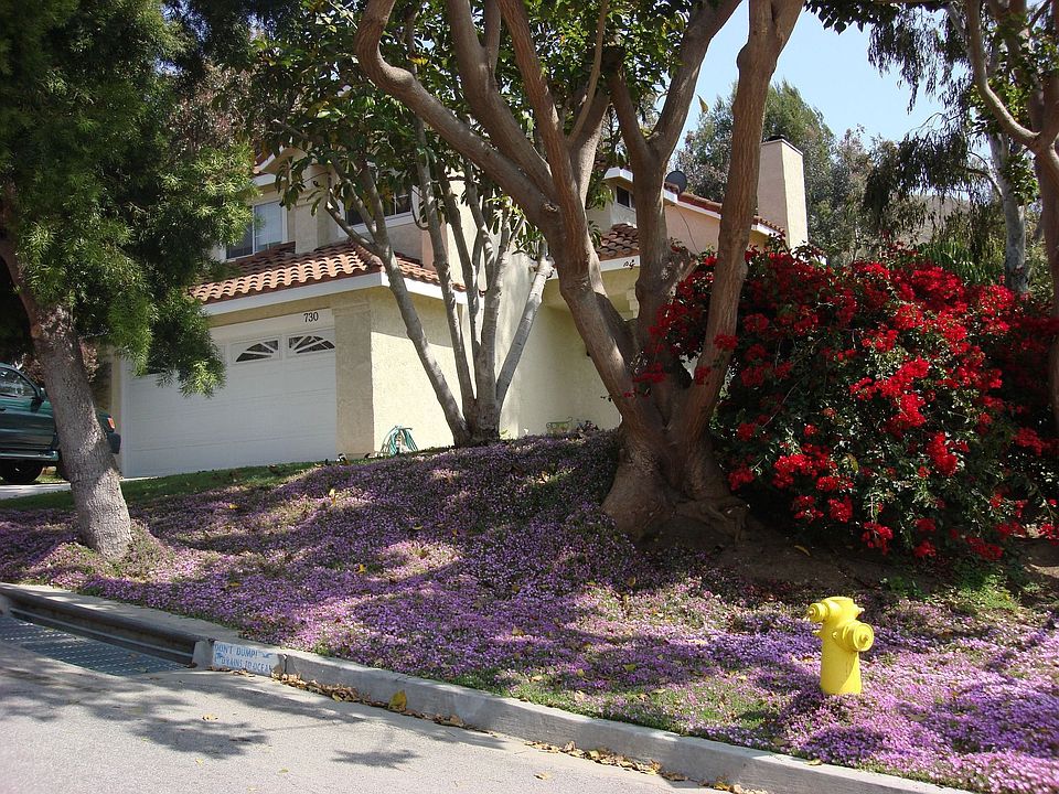 Beautiful street appeal