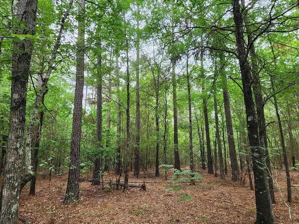 3230 Cr, Clarksville, TX 75426