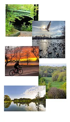 Rented by Compass | media 17