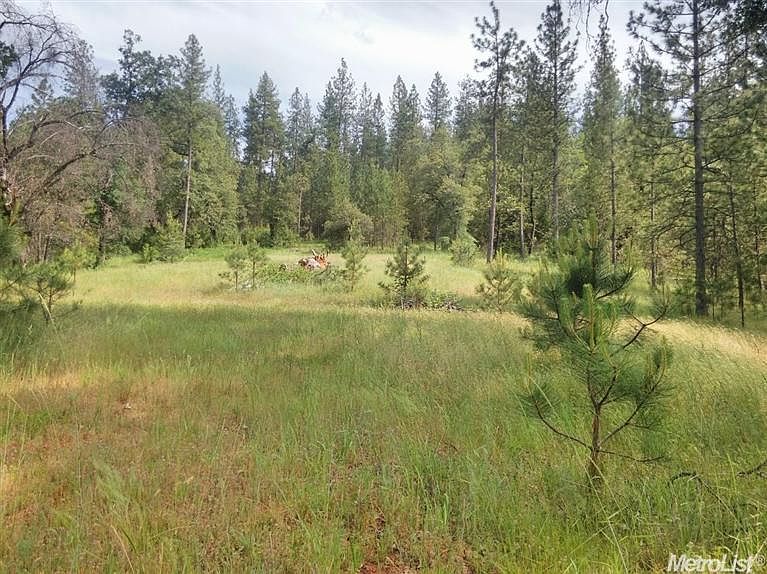 2nd image of 3580 Cedar Creek Rd #007