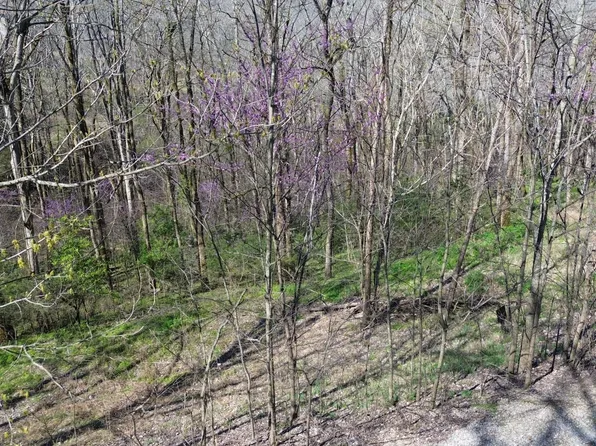 0 Wilson Cir Lot 105, Smithville, TN 37166