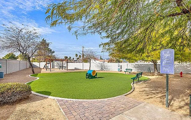 Dog Park
