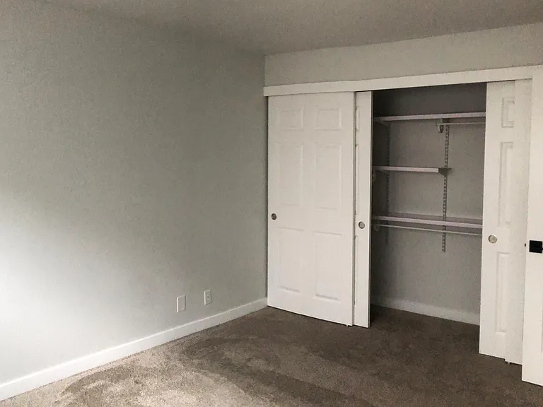 Bedroom closet (unfurnished)