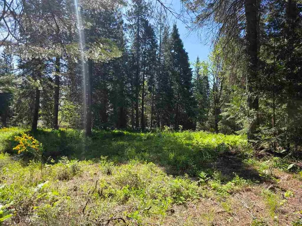 LOT 78 Panther Meadow Dr, McCloud, CA 96057