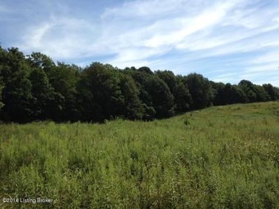 1197 Three Springs Hwy, Hardyville, KY, 42746