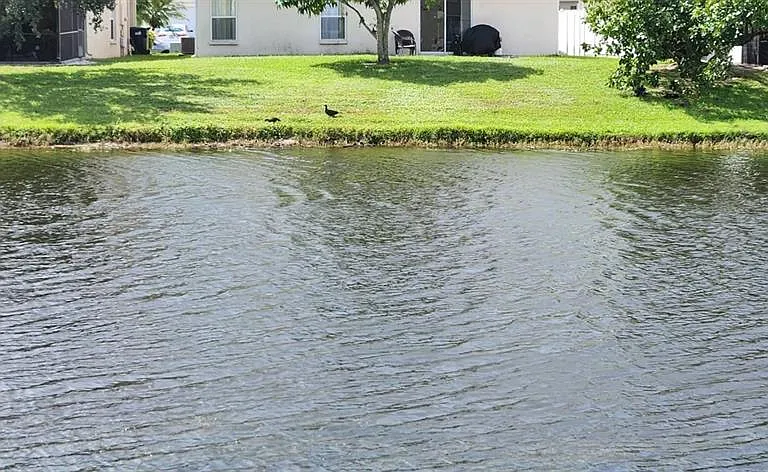 536 Cresting Oak Cir #10 — Photo 20