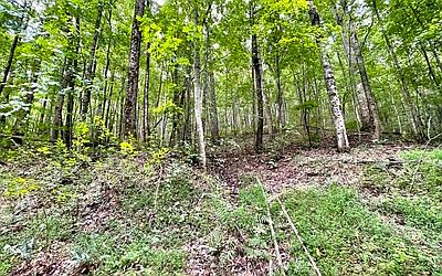 2nd image of Gaults Gulch Rd