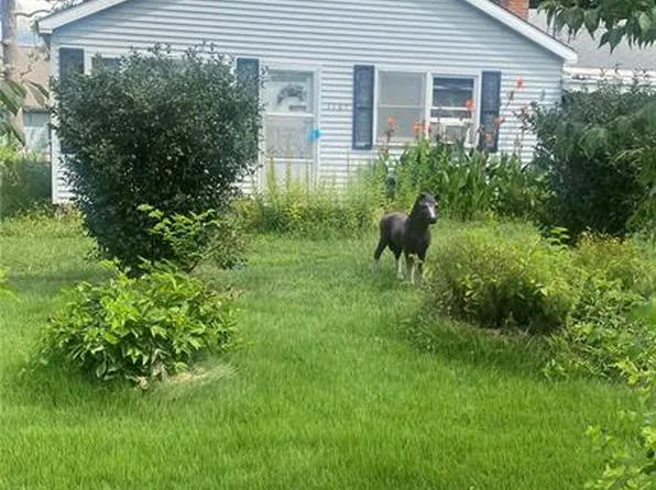 1105 W Myrtle St, Cuba, MO 65453