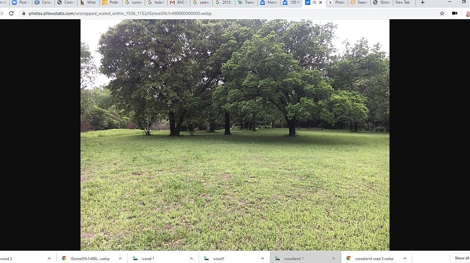 2nd image of Woodland Rd