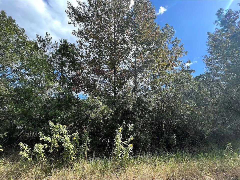 1st image of 305 NW 8TH AVENUE LOT 148