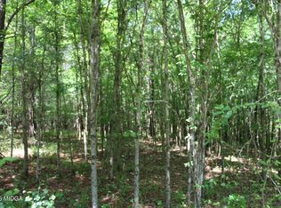 5 Jenkins Rd, Forsyth, GA 31029