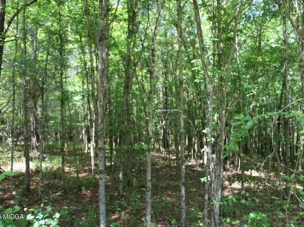 5 Jenkins Rd, Forsyth, GA 31029