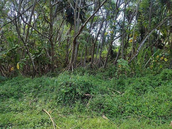 2nd image of Koaekea St Lot 163