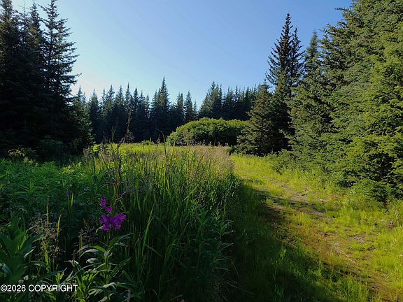 2nd image of L-22 Kachemak Way