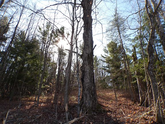 4th image of 440 Baird Road