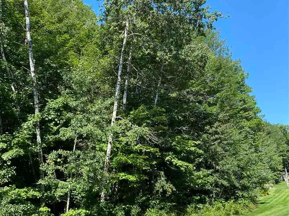 798 Heather Dr, Harbor Springs, MI 49740