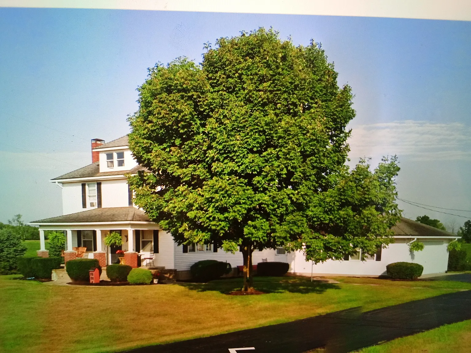 4 bed, 2000 sqft, $2,500 — Photo 2