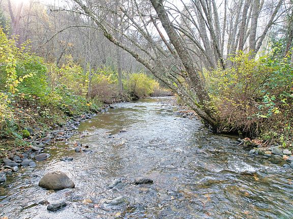 5th image of 71 Yale Creek Rd