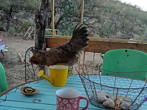 19675 S Sonoita Hwy, Vail, AZ 85641