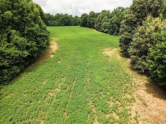 27 Dji Fly 20260712 121844 0443 1783973502569 Photo