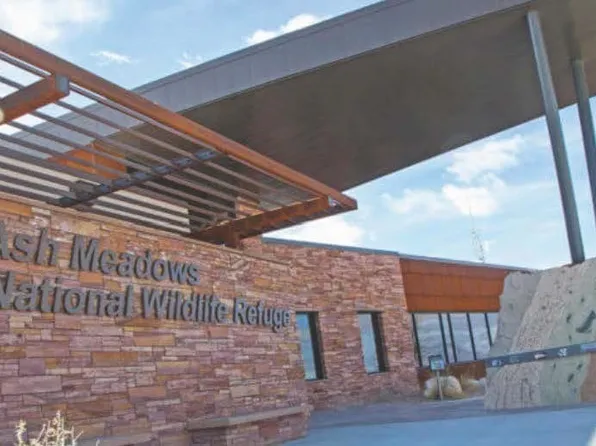 11321 S Spring Meadows Rd, Amargosa Valley, NV 89020