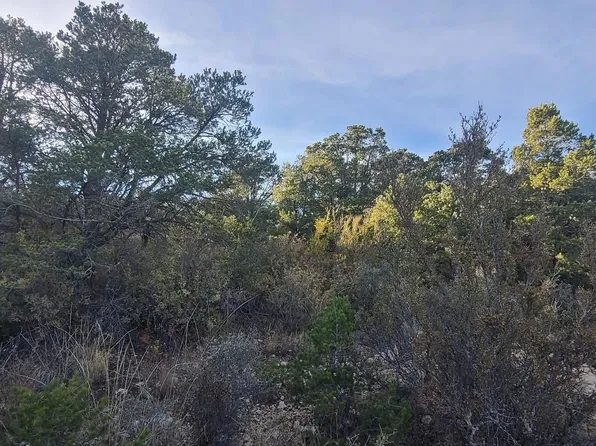 7 Bellwood Ct, Timberon, NM 88350