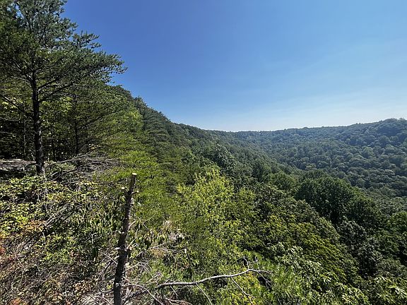 5th image of 323 Timberwood Trce Lot 323