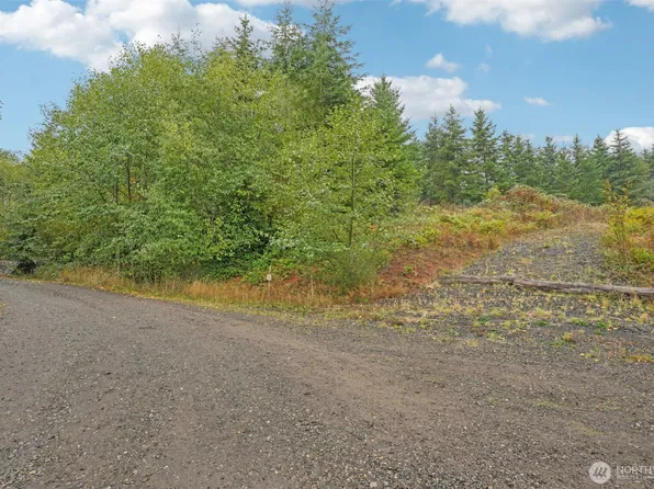 374 Bellwood Drive, Castle Rock, WA 98611
