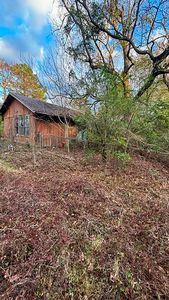 1590 Gum Springs Rd, Hallsville, TX, 75602