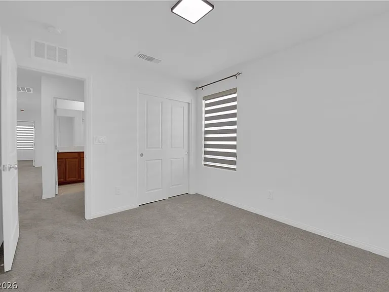 4171 Scarlet Cob Ave — Photo 17