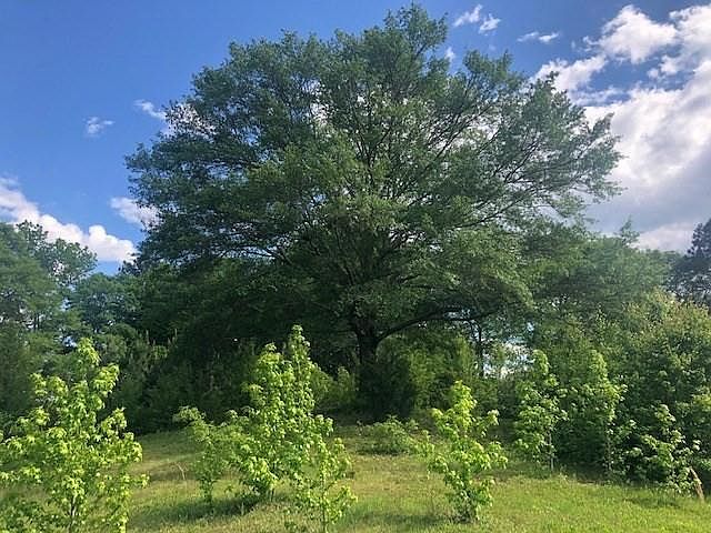2nd image of 119 Westview Way Lot 50