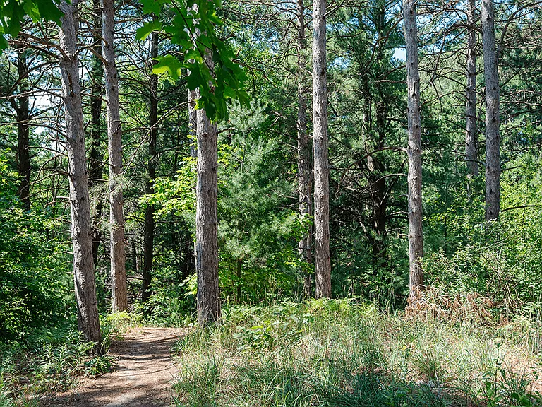 Be Close to Nature!