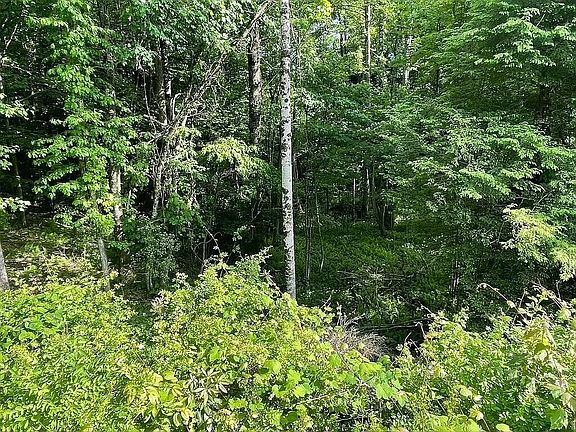 5th image of 439 Deer Creek Cir
