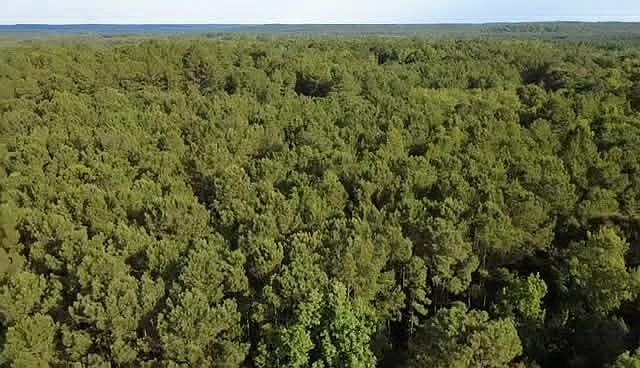 1st image of 0 County Road 38